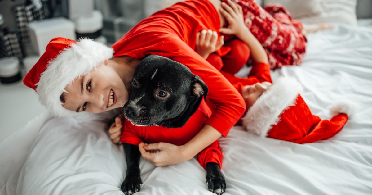 Are Matching Holiday Pajamas Worth It for Pets